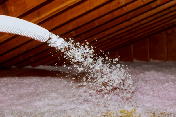 Best Geographic-Specific Insulation Services in Orofino, ID